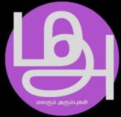 பெண்களின் நலன் மற்றும் வளர்ச்சி