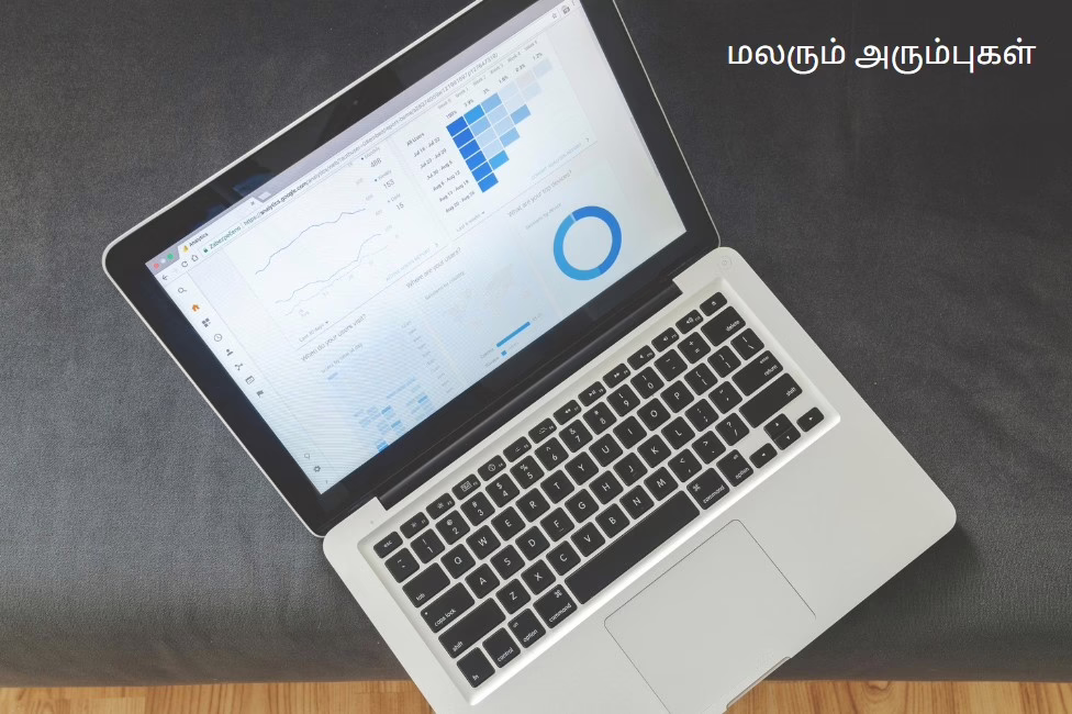 Affiliate Marketing தொடங்குவது எப்படி